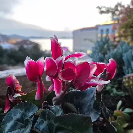 Super Villa In Zadar, Free Parking Apartmán *